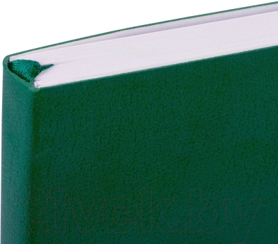 Записная книжка Brauberg Ultra / 113007 (зеленый)