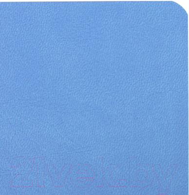 Записная книжка Brauberg Ultra / 113011 (голубой)