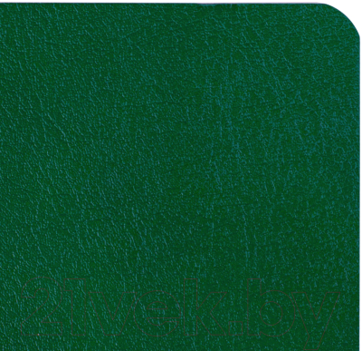 Записная книжка Brauberg Ultra / 113019 (темно-зеленый)