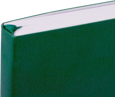 Записная книжка Brauberg Ultra / 113019 (темно-зеленый)