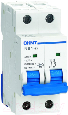 Выключатель автоматический Chint NB1-63 2P 4A 6kА B (DB) / 179650