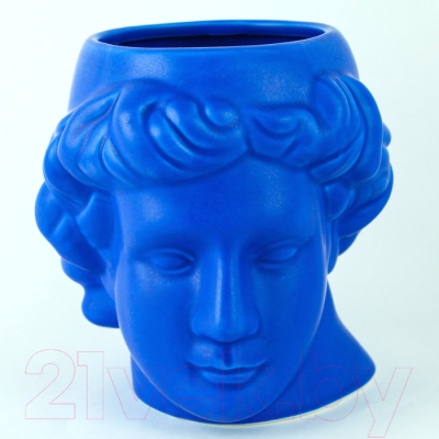 Кружка Darvish Голова Давида / DV-H-1328B (синий)