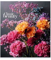 

Тетрадь Школярик, Classic Beauty / 096-2973K/71385