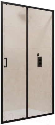 Изображение товара Душевая дверь RGW PA-14 B / 41081410-14