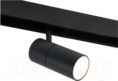 Трековый светильник Elektrostandard Slim Magnetic R01 85011/01 (черный)