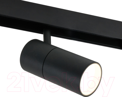 Трековый светильник Elektrostandard Slim Magnetic R03 85013/01 (черный)