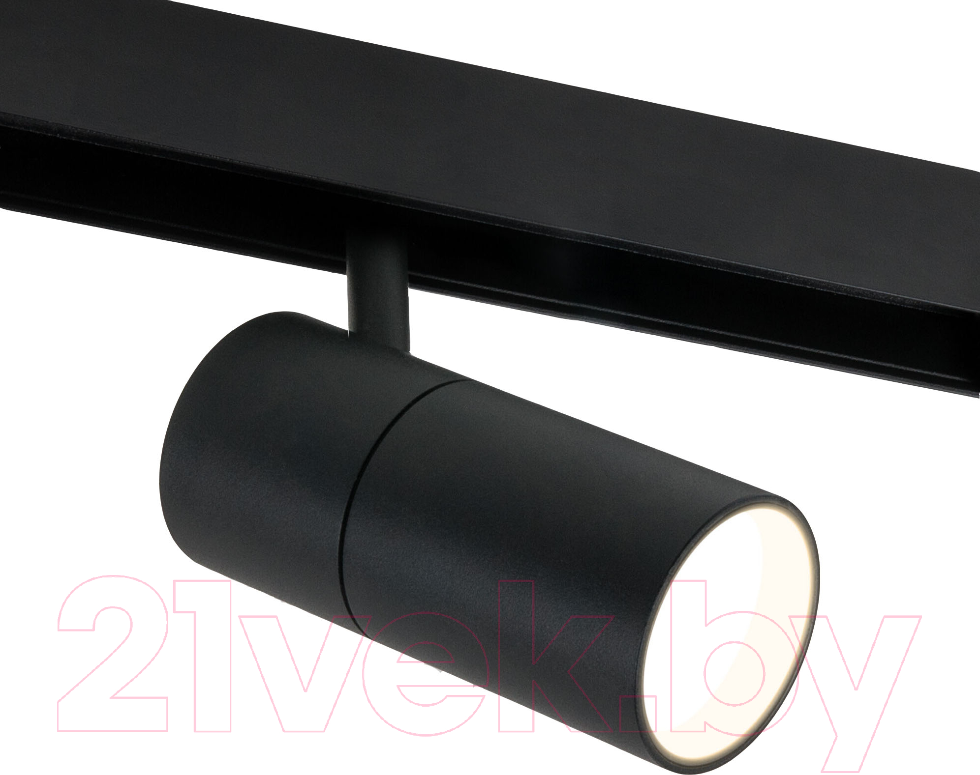 Трековый светильник Elektrostandard Slim Magnetic R03 85013/01 (черный)