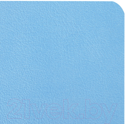 Записная книжка Brauberg Ultra / 113031 (голубой)