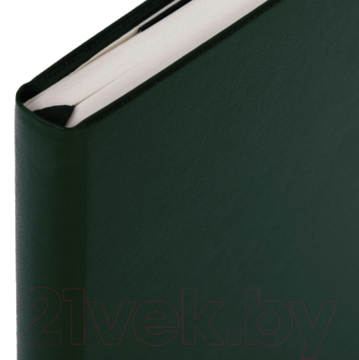 Записная книжка Brauberg Ultra / 113035 (темно-зеленый)