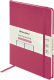 Записная книжка Brauberg Ultra / 113038 (розовый) - 