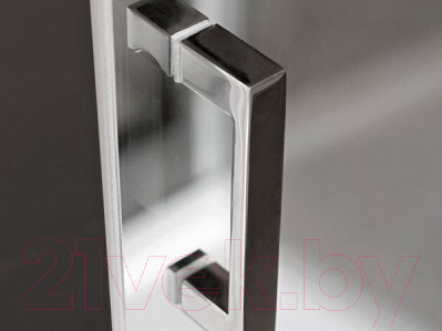 Душевая дверь Roltechnik Lega Line LLD2/120 (хром/intimglass)