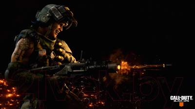 Игра для игровой консоли PlayStation 4 Call of Duty: Black Ops 4