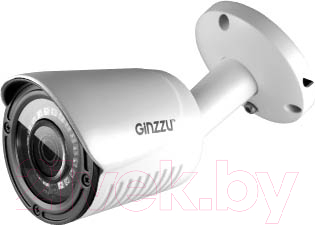 IP-камера Ginzzu HIB-4031O