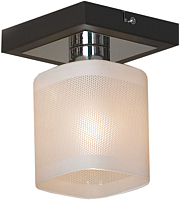 Потолочный светильник Lussole Costanzo LSL-9007-01 - 