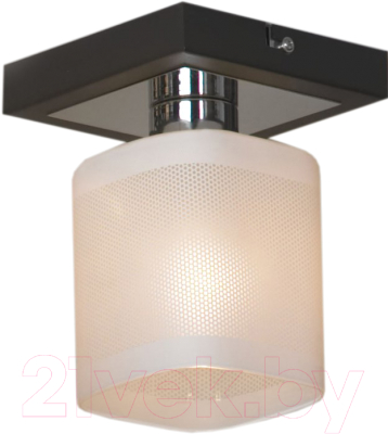Потолочный светильник Lussole Costanzo LSL-9007-01