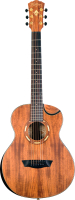 

Акустическая гитара Washburn, WCGM55K