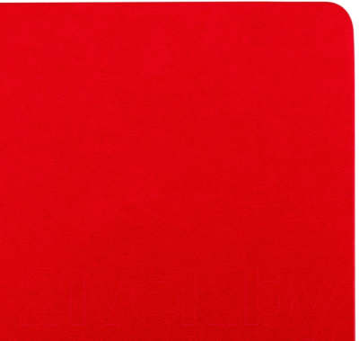 Записная книжка Brauberg Ultra / 113062 (красный)