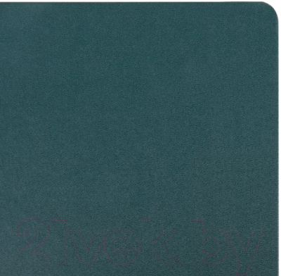 Записная книжка Brauberg Ultra / 113063 (темно-зеленый)