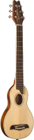

Акустическая гитара Washburn, RO10SK Rover
