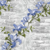 

Бумажные обои Vimala, Зафира 7346