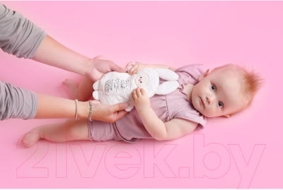 Игрушка-грелка детская Мякиши Зайка с метрикой с вишневыми косточками / 660