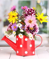 

Набор алмазной вышивки РЫЖИЙ КОТ, Букетик в красной лейке / ASH019