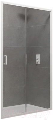 Изображение товара Душевая дверь RGW PA-14 W / 41081415-15
