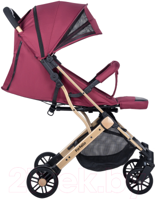 Детская прогулочная коляска Farfello Comfy Go / CG (вишневый)
