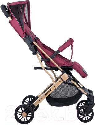 Детская прогулочная коляска Farfello Comfy Go / CG (вишневый)