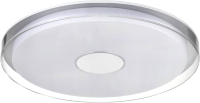 Потолочный светильник Vele Luce Flash VL7215L01 - 