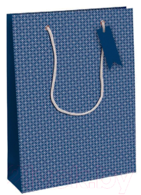 Пакет подарочный Rhodia Men In Blue / 30621-2C