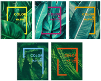 

Тетрадь Канц-Эксмо, Природа и цвет / ТСЛ807101