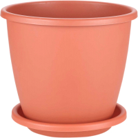 

Вазон Альтернатива, Афина / М6487