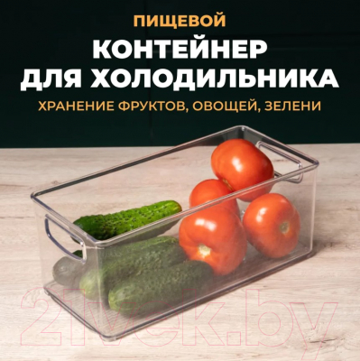 Контейнер для холодильника Berossi Berkana ИК 68500000 (прозрачный)