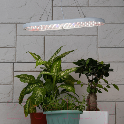 Изображение товара Светильник для растений ЭРА FITO-25W-QLED-FLY / Б0053062