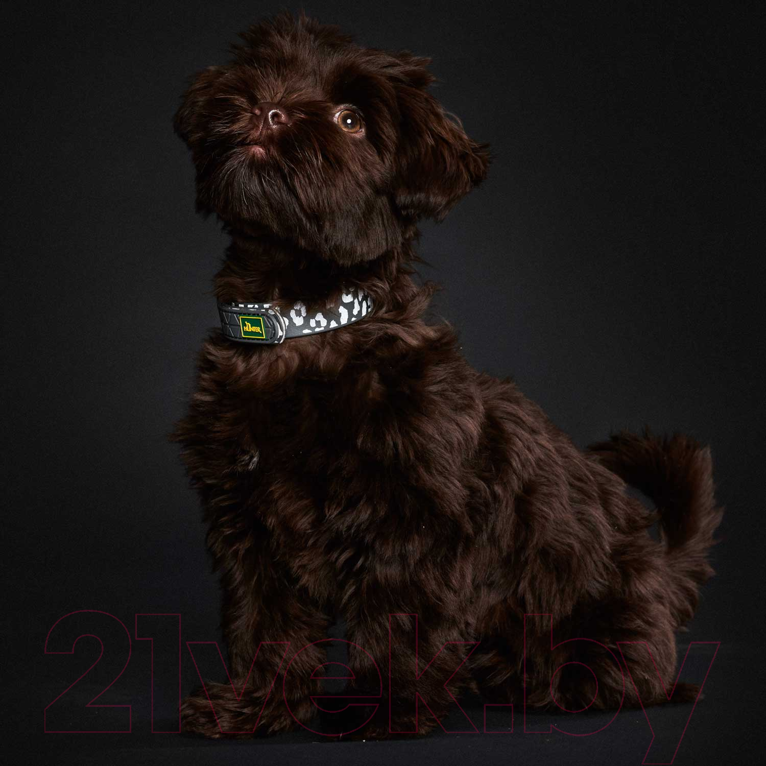 Ошейник HUNTER Collar Convenience Refl Glow 69150 (45/S-M белый/звезды) — фото 6