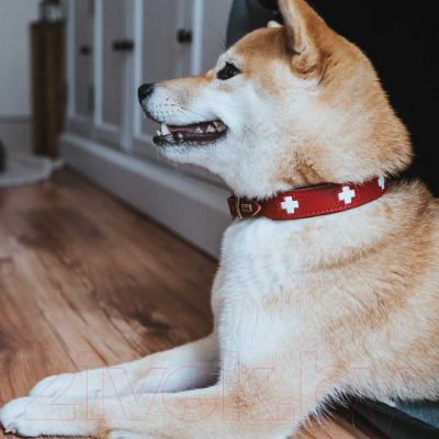 Ошейник HUNTER Collar Swiss 42048 (37/XS-S, красный/черный)