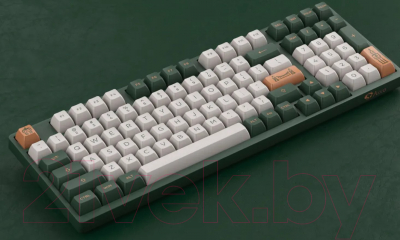 Изображение товара Клавиатура Akko 3098N World Tour London / 1561109 (розовый/золотой)
