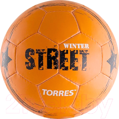Футбольный мяч Torres Winter Street F30285 (размер 5)