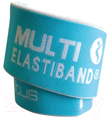 Эспандер Sveltus Elastiband / 0170 (20кг, синий)