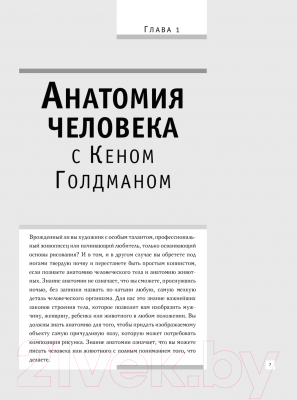 Книга АСТ Анатомия для художников