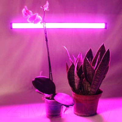 Светильник для растений Ultraflash LWL-2014-01CL / 14291