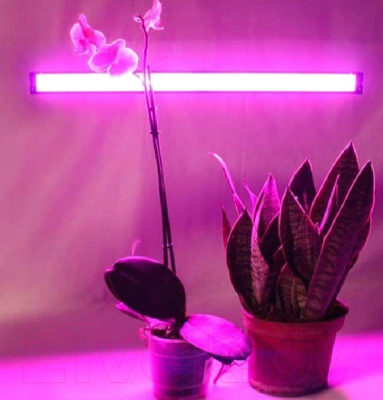 Светильник для растений Ultraflash LWL-2014-02CL / 14292