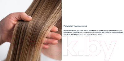 Набор косметики для волос Epica Professional Argania Rise Organic Шамп+Кондиц+Маска (250мл+250мл+250мл)