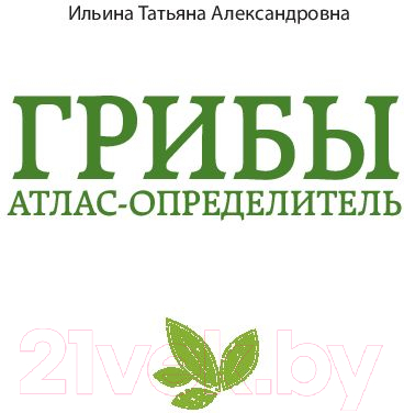 Книга Эксмо За грибами. Карманный атлас-определитель (Ильина Т.А.) — фото 2
