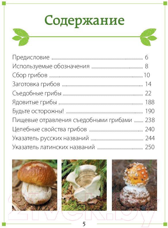 Книга Эксмо За грибами. Карманный атлас-определитель (Ильина Т.А.) — фото 4