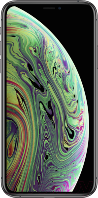 Смартфон Apple iPhone Xs 64GB / MT9E2 (серый космос)