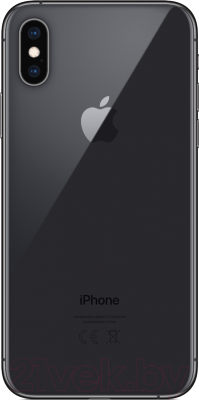 Смартфон Apple iPhone Xs 64GB / MT9E2 (серый космос)