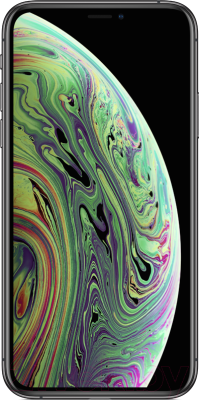 Смартфон Apple iPhone Xs 512GB / MT9L2 (серый космос)