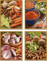 

Картина по номерам Schipper, Специи / 9340719/609340719